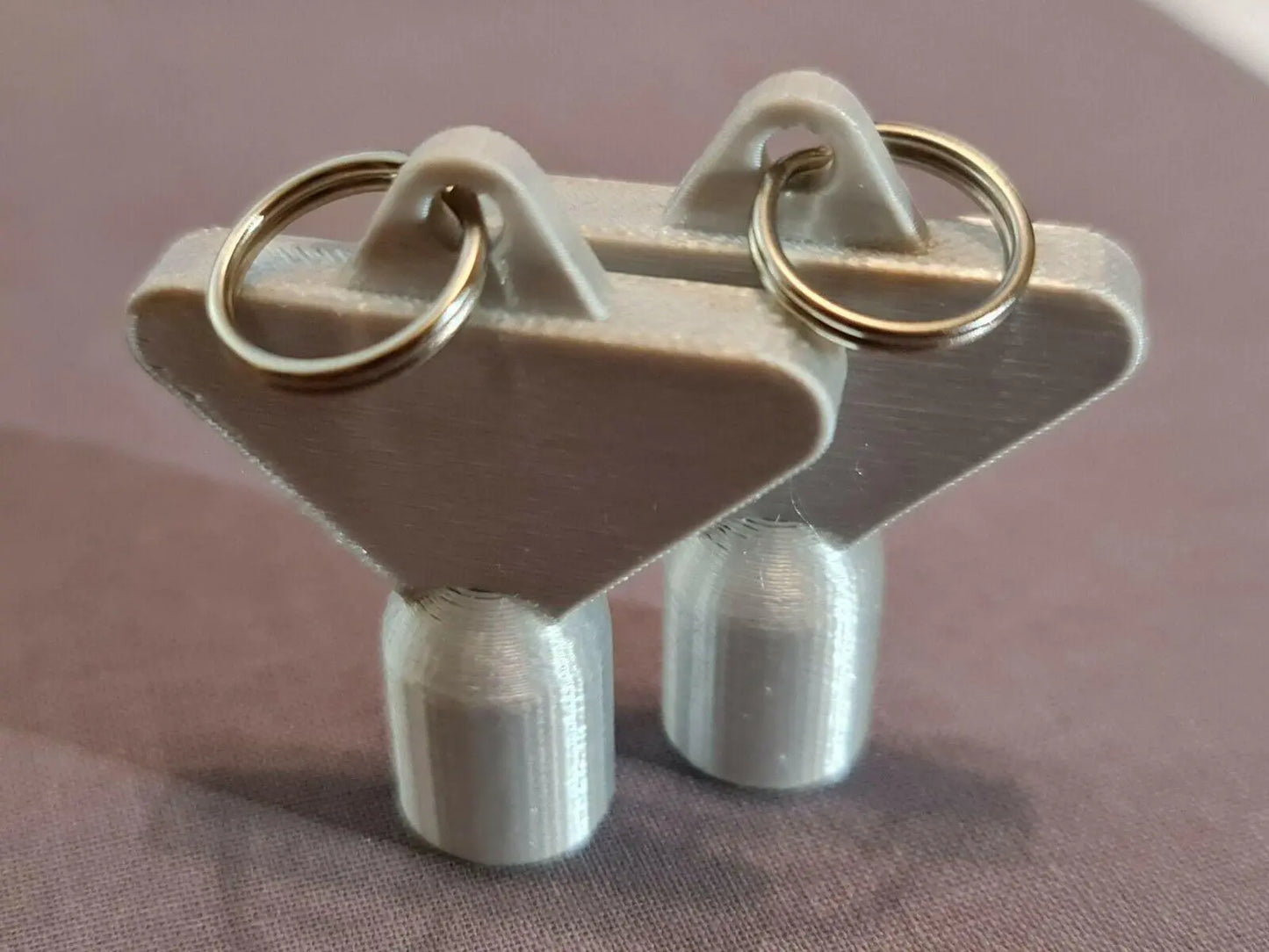 2 x Gas Electric Meter Box Utility Key Cupboard Silk Silver PLA Plastic 3D Peak Print