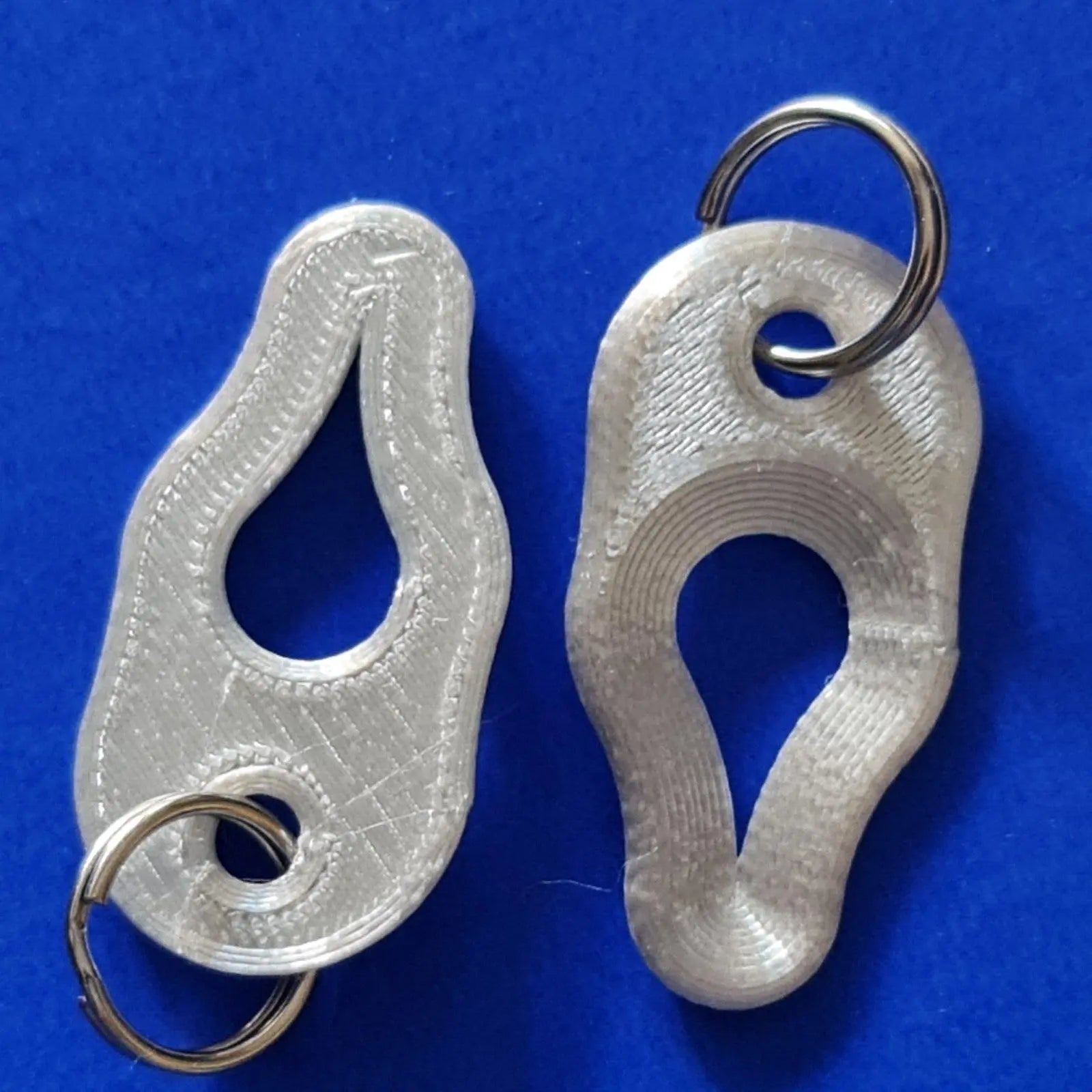 2 x Key Ring Tick Removal Tools Silk Silver PLA Plastic dog cat horse human 3D Peak Print