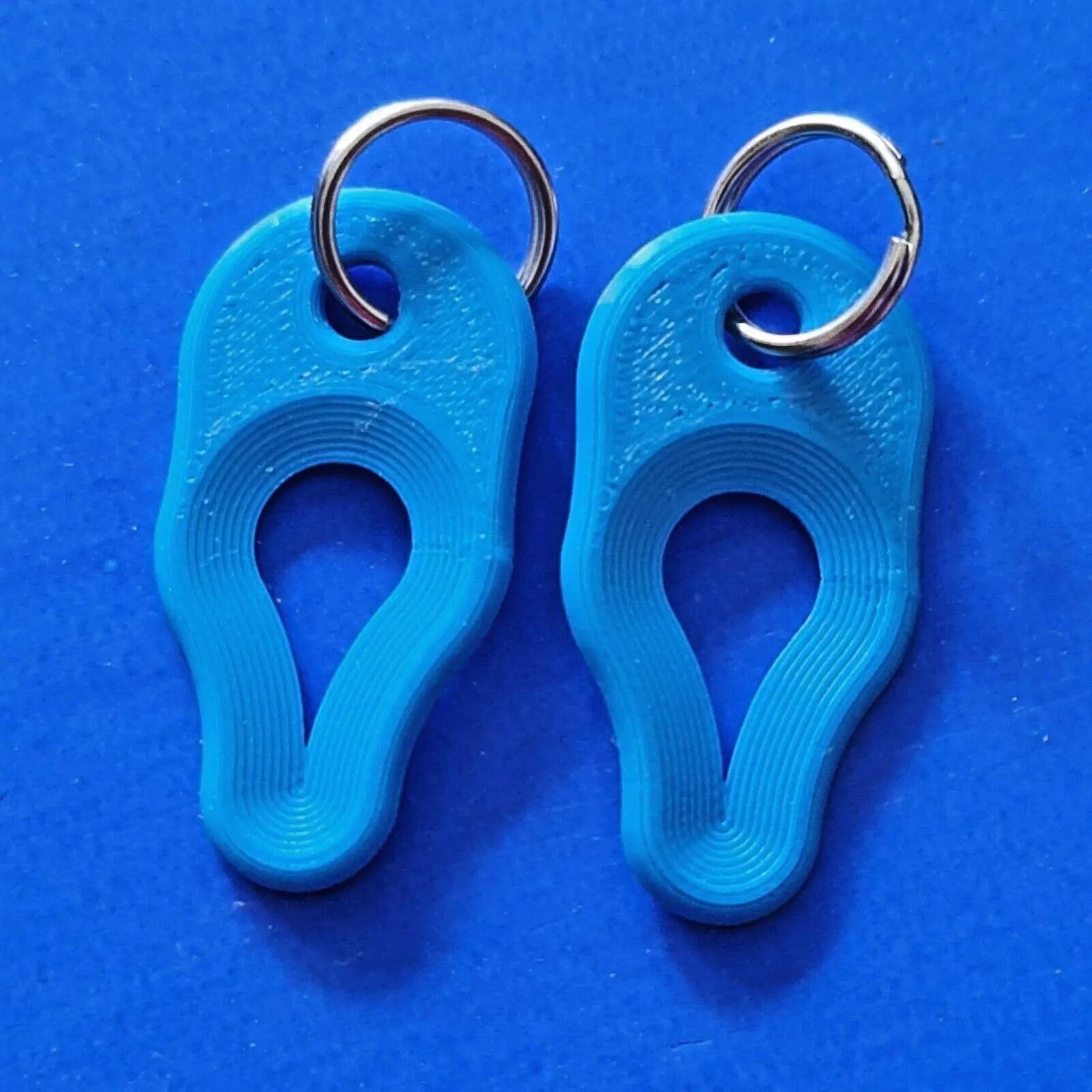 2 x Key Ring Tick Removal Tools Blue PLA Plastic Biodegradable, dog cat horse 3D Peak Print
