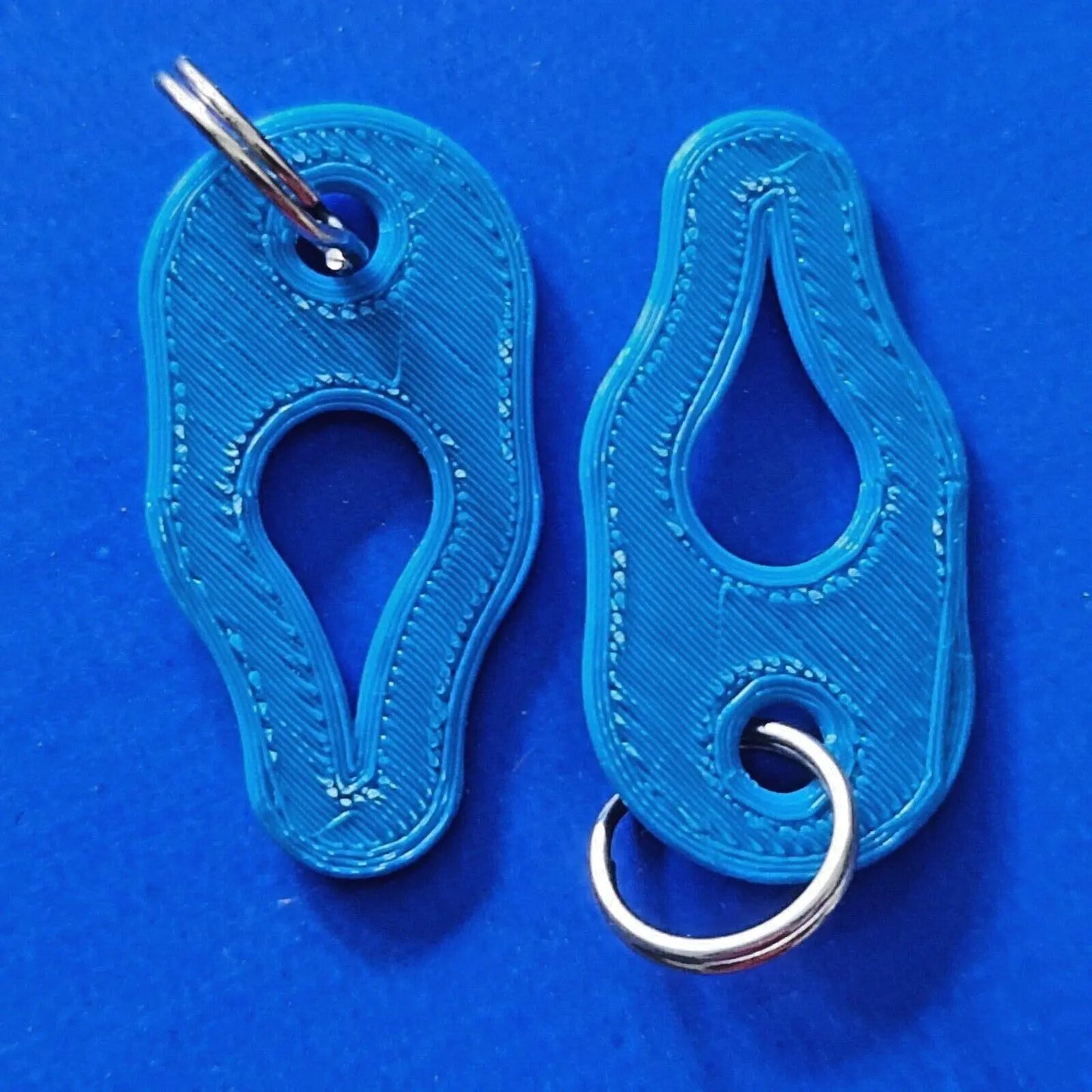 2 x Key Ring Tick Removal Tools Blue PLA Plastic Biodegradable, dog cat horse 3D Peak Print