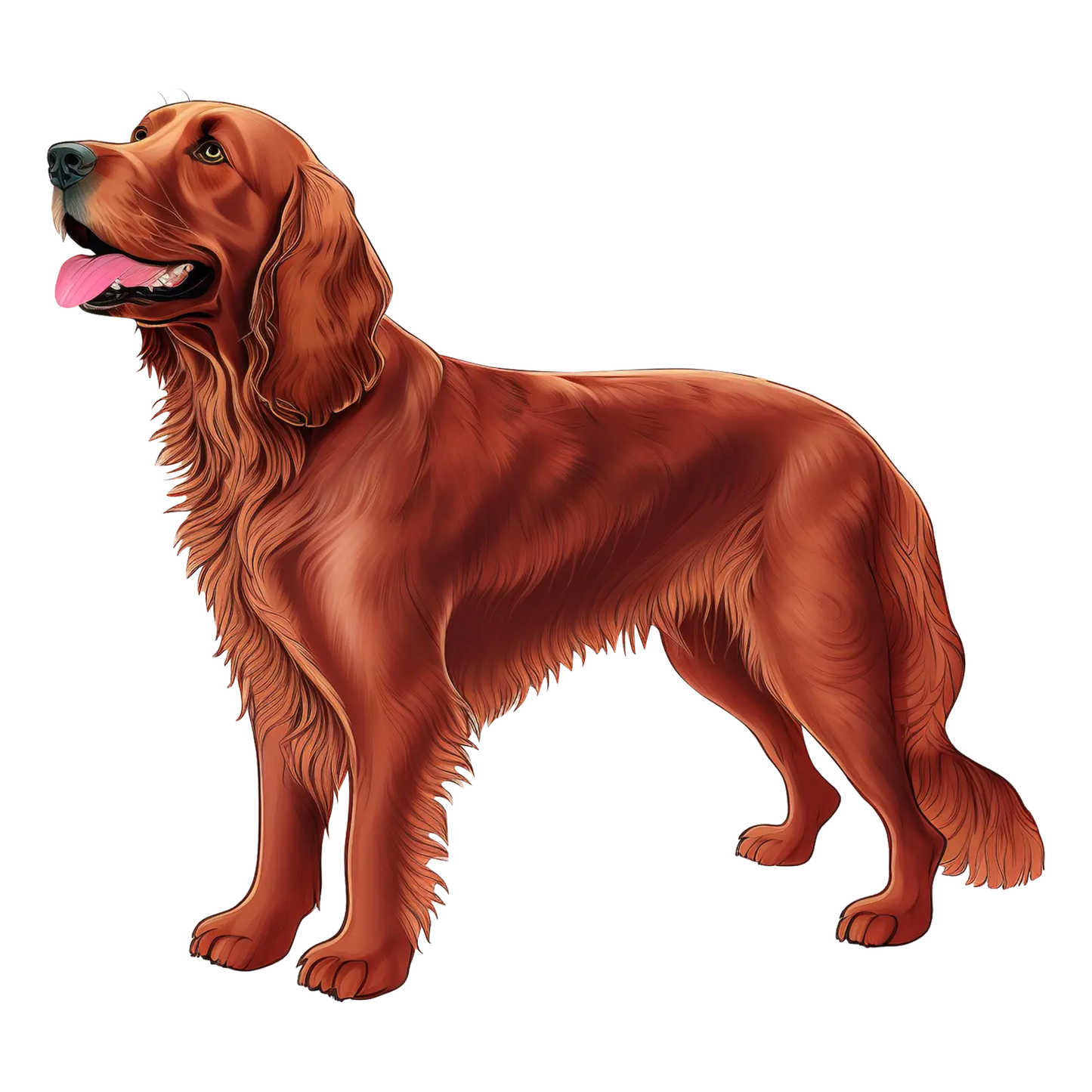 260 Thank you for your order Labels, Dog Breeds, Craft stickers, Address return Cavalier