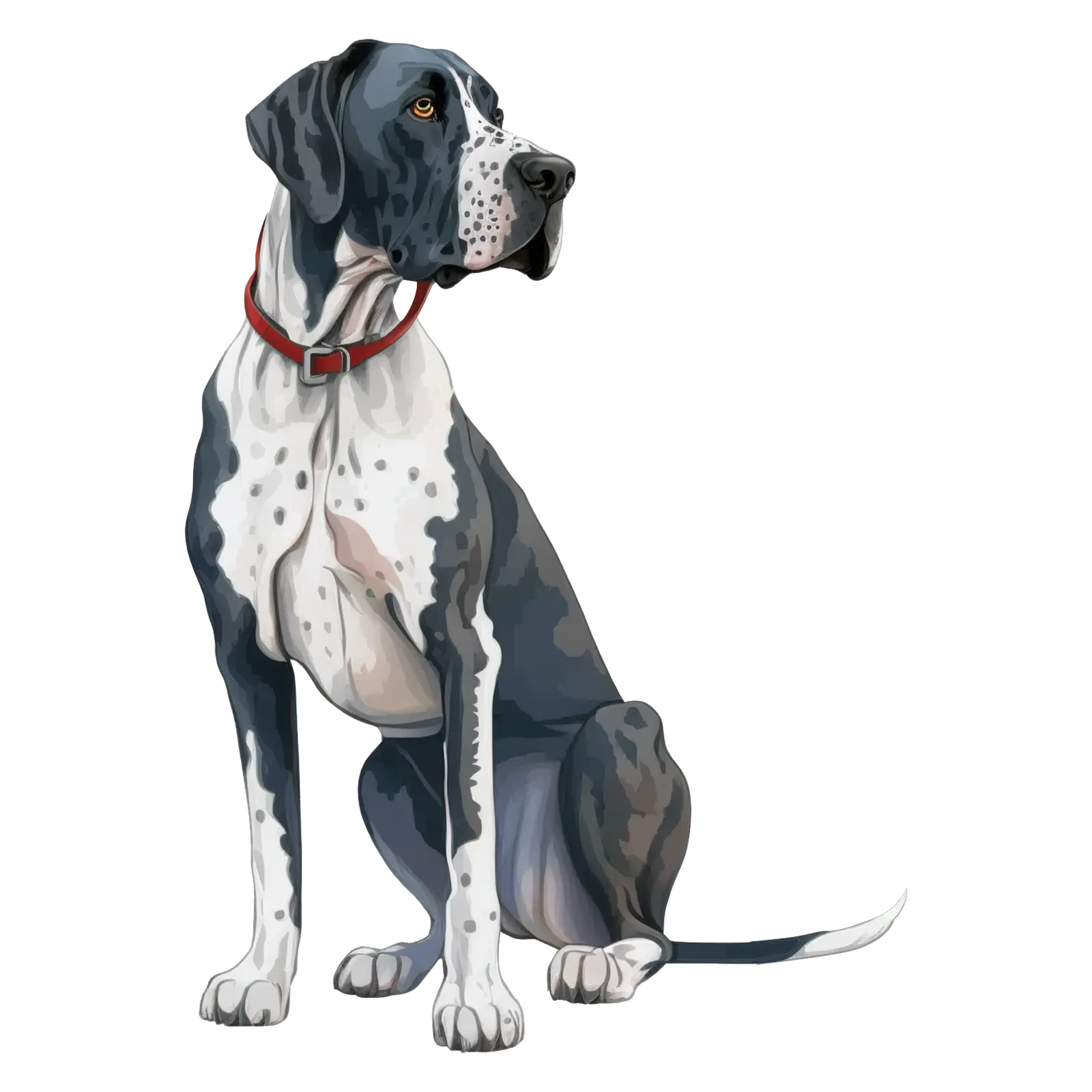 260 Thank you for your order Labels, Dog Breeds, Craft stickers, Address return Cavalier